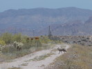 photo thumbnail #4