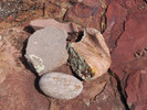 photo thumbnail #13