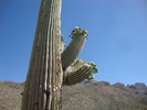 photo thumbnail #1