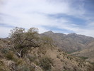 photo thumbnail #6