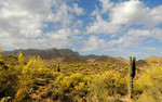 photo thumbnail #2