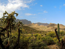 photo thumbnail #4