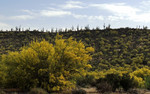 photo thumbnail #6