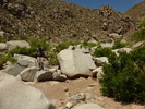 photo thumbnail #8