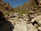 photo thumbnail #10