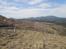 photo thumbnail #13