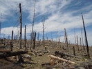 photo thumbnail #14