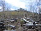 photo thumbnail #15