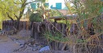 photo thumbnail #8