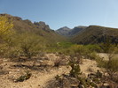 photo thumbnail #1