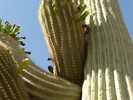 photo thumbnail #2