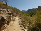photo thumbnail #3