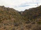 photo thumbnail #10