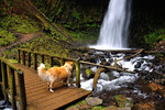 photo thumbnail #2