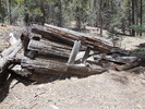 photo thumbnail #7