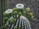 photo thumbnail #4
