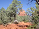 photo thumbnail #4