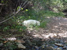 photo thumbnail #5