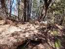 photo thumbnail #6
