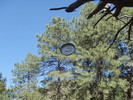 photo thumbnail #8