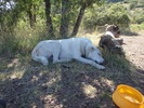 photo thumbnail #12