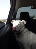 photo thumbnail #1