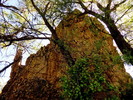 photo thumbnail #10