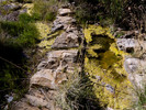 photo thumbnail #14