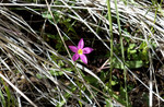 photo thumbnail #15