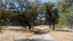 photo thumbnail #13