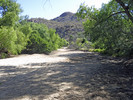photo thumbnail #3