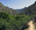 2014-05-12 :2: Phoneline Trail #27 :: Timknorr