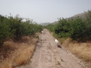 photo thumbnail #7
