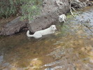 photo thumbnail #9
