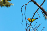 photo thumbnail #2