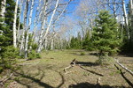 photo thumbnail #3
