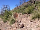 photo thumbnail #4
