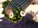 photo thumbnail #4
