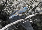 photo thumbnail #9