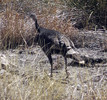 photo thumbnail #13