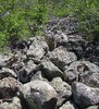 photo thumbnail #10