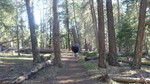 photo thumbnail #4