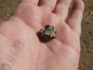 photo thumbnail #13