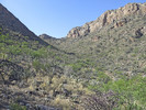 photo thumbnail #1