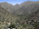 photo thumbnail #13