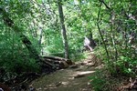 photo thumbnail #5