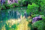photo thumbnail #7