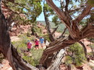 photo thumbnail #4