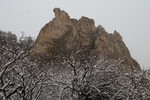 photo thumbnail #12