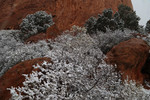 photo thumbnail #13